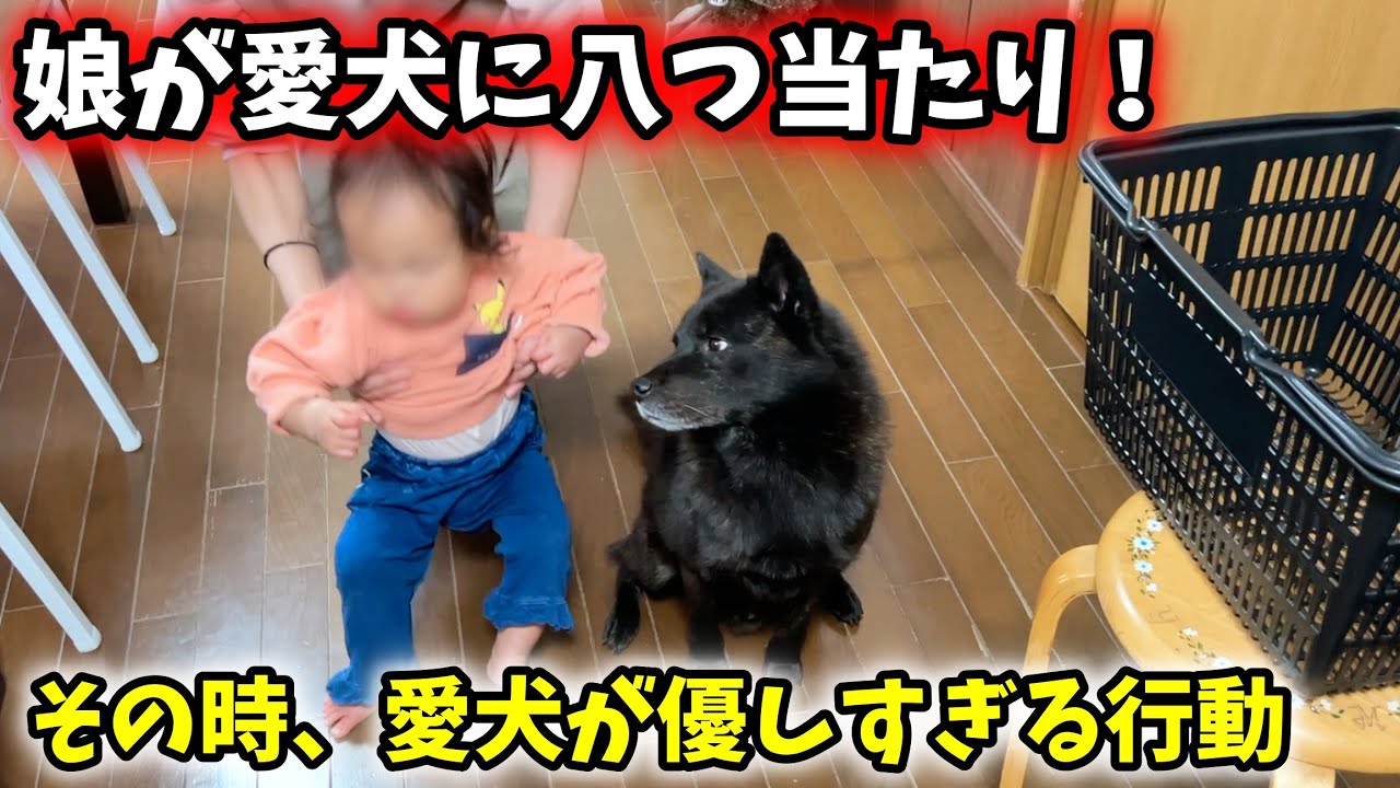 【優しすぎ】娘に八つ当たりされた愛犬がとった行動が・・・