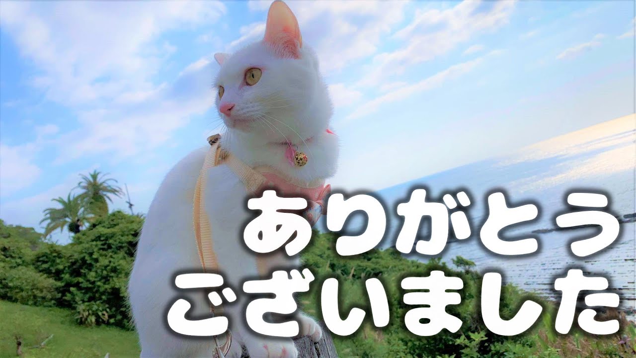 【イッキに振り返る】2022年総集編！！