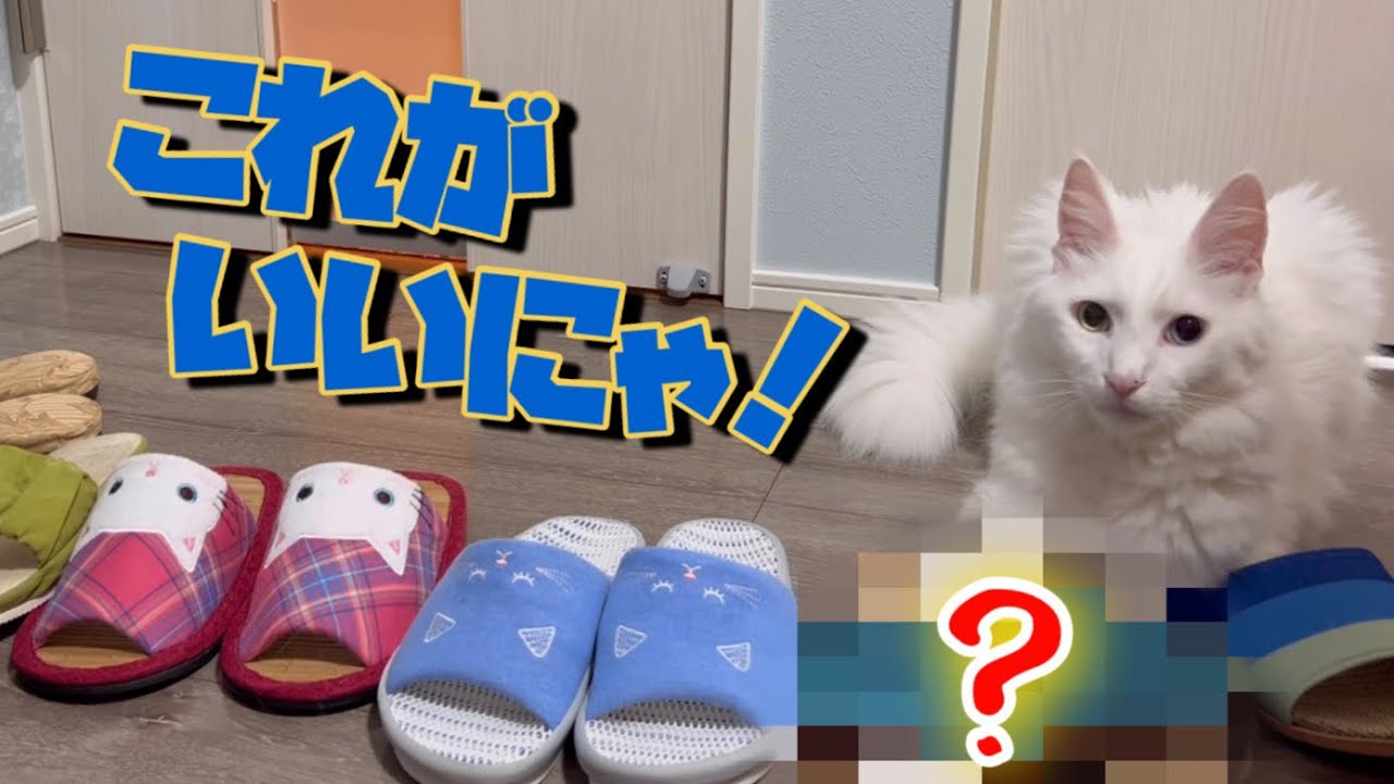 【ターキッシュアンゴラ】スリッパお買い上げありがとうございますww