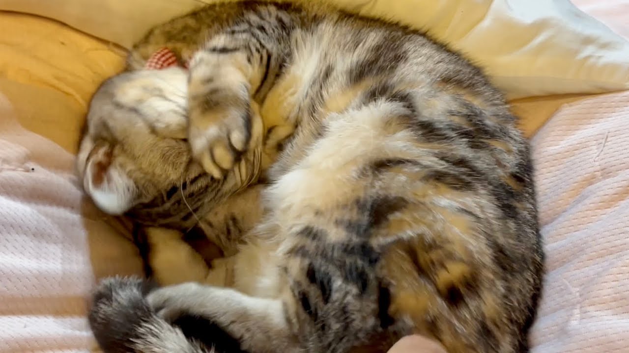 あいちゃんへのお願い。