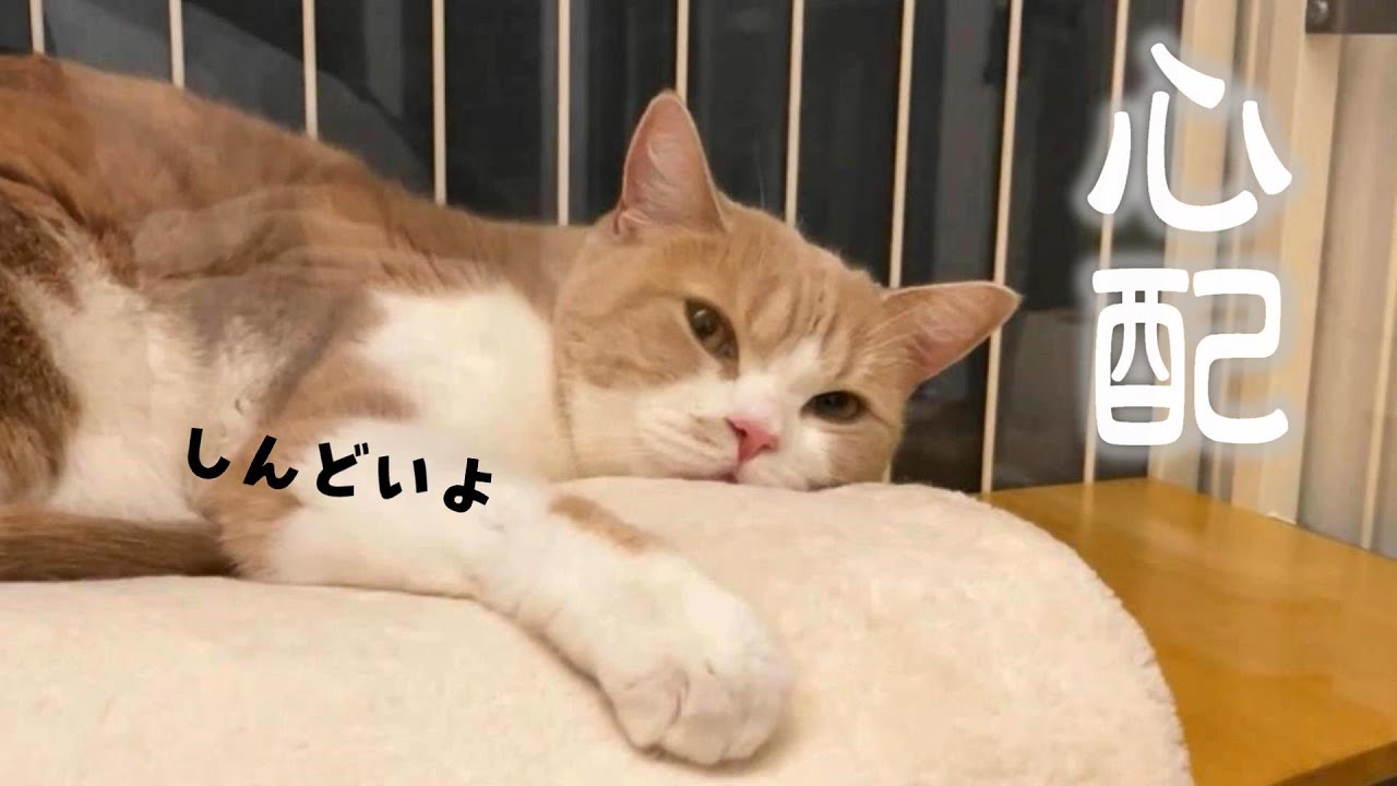 深夜に救急病院へ行く事になりました　663話