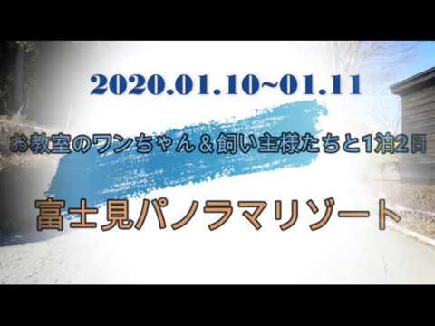 犬とスノーシュー　ボーダーコリー　あずみ　富士見パノラマリゾート♪＾＾