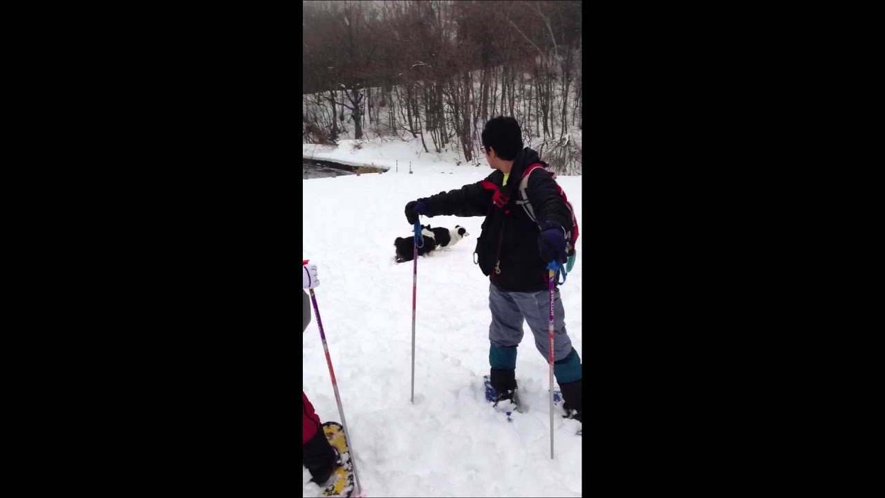 犬連れスノーシュートレッキング