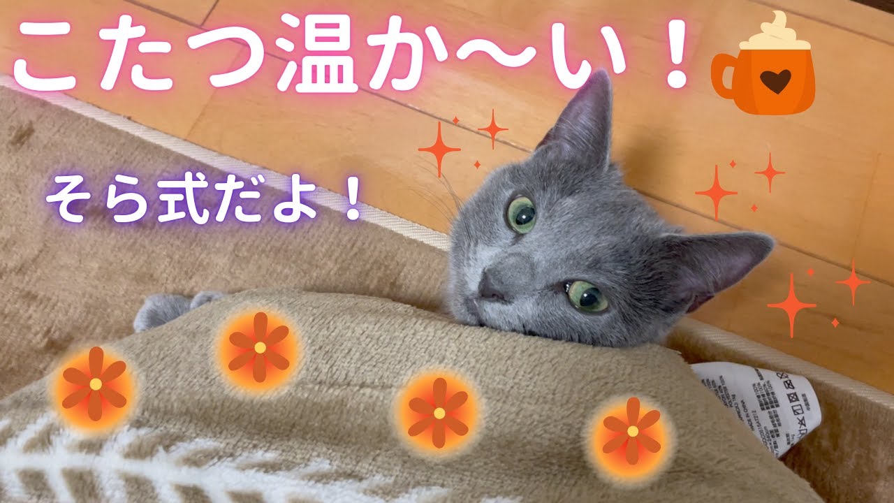 そら式 整え方〜冬ver〜（ロシアンブルー）