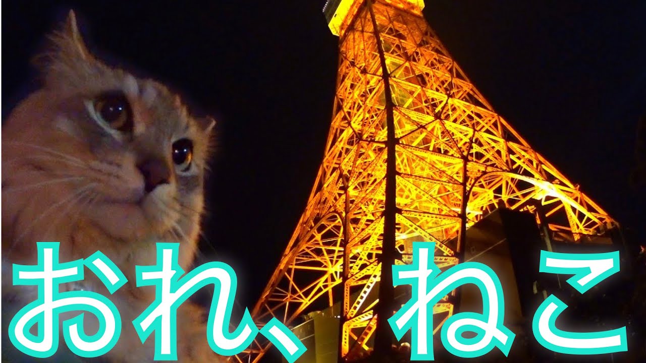 関東の猫　✕【おれ、ねこ】