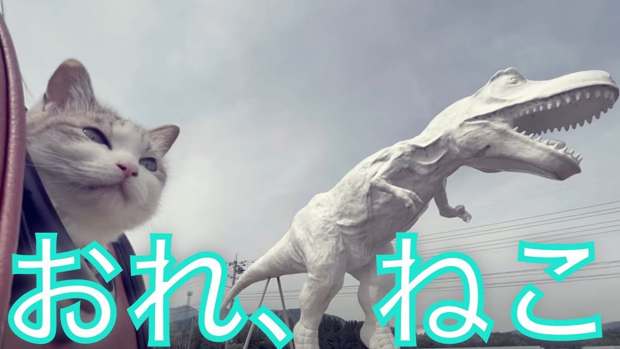 北陸信越の猫　✕【おれ、ねこ】