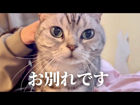 しばしお別れです...