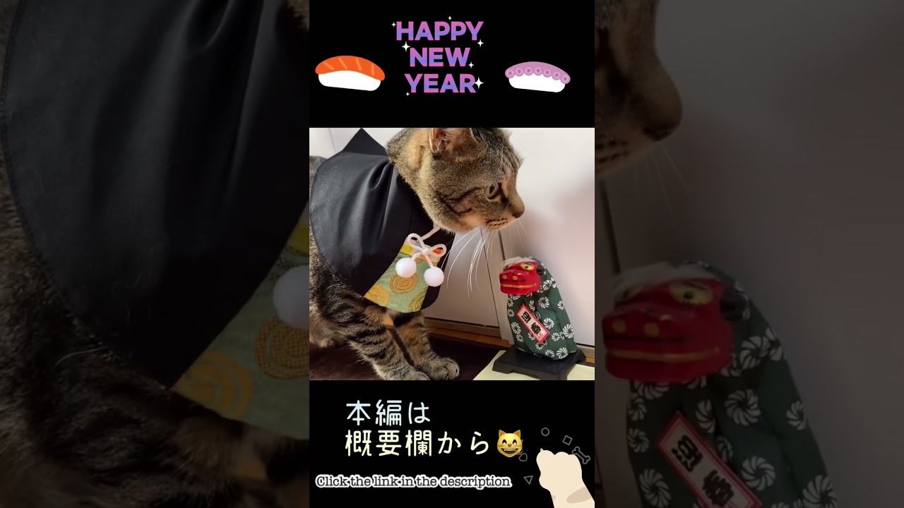 Happy new year 🎍🎌#shorts #猫#黒猫#ソマリ#キジトラ