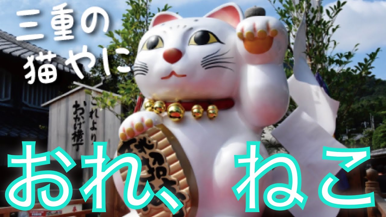 中部の猫　✕【おれ、ねこ】