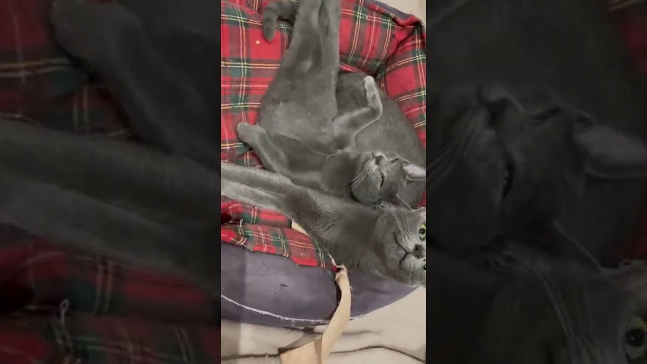 Passaya Kop Chai Khun