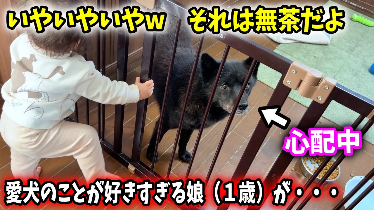 どうしても愛犬と一緒にいたくて娘がとった行動がこちら【仲良すぎ】