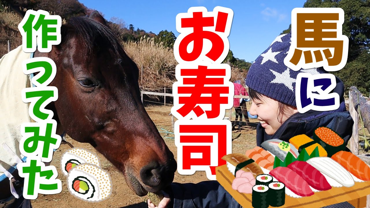 馬たちにお寿司を作ってみた！～Yuri's Kitchen正月スペシャル～