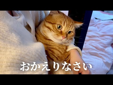 おかえりなさい...