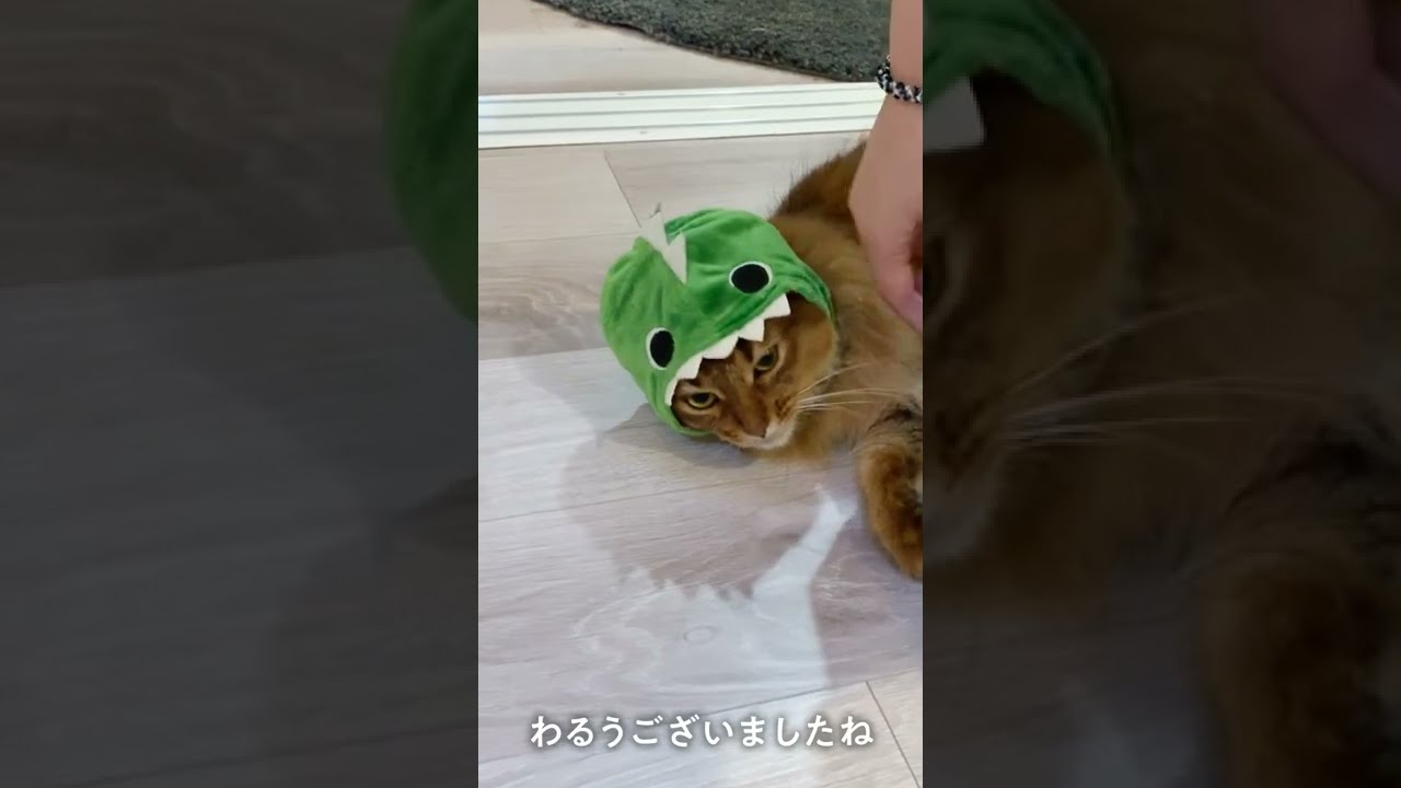 #212　きょうりゅうソマリ