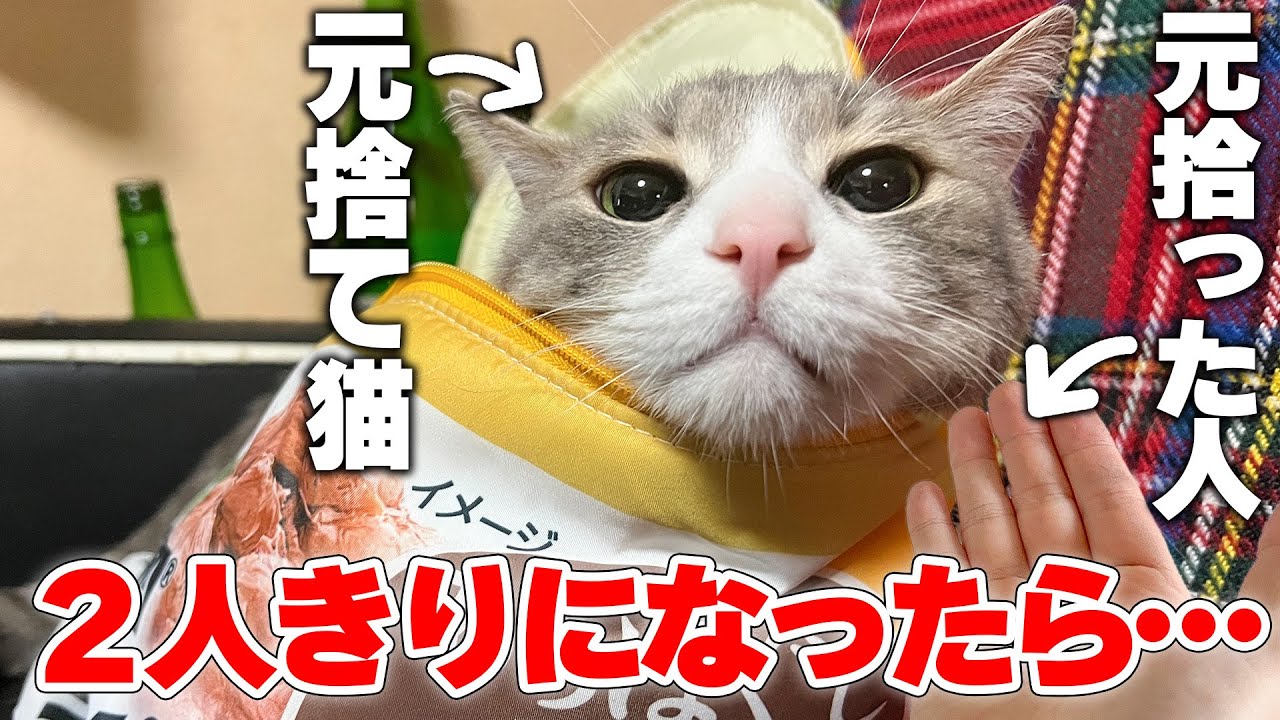 元捨て猫と拾い主が2人きりになったら外にいた子猫が泣き叫び始めましたwww