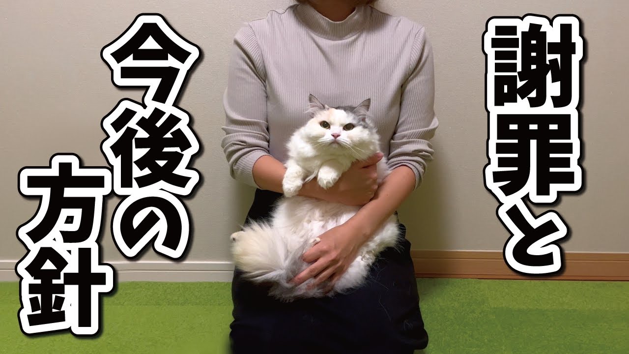 【謝罪】今後のチャンネルの方針について