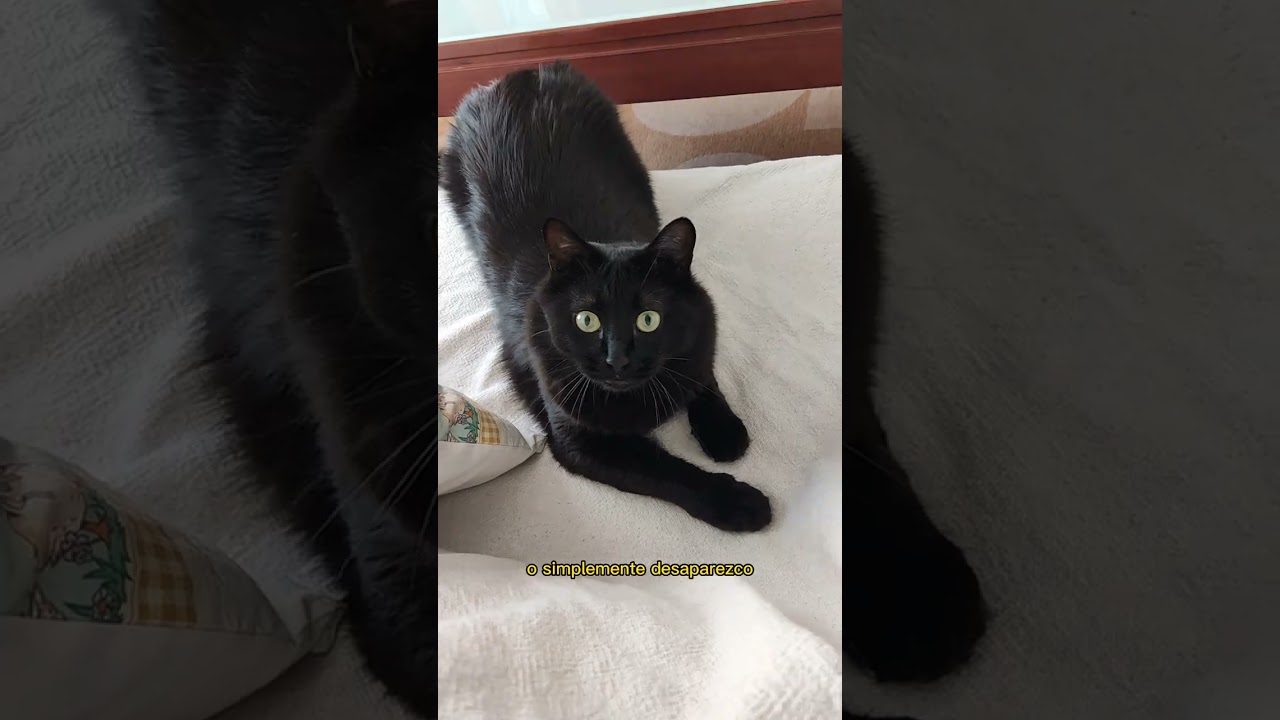 No quiero ver a nadie