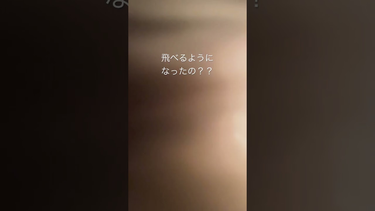 家中興味津津なリキ #ノルウェージャンフォレストキャット #洗面台