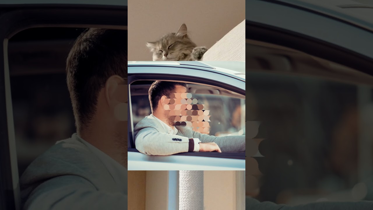 【ラガマフィン】寝姿があれに似てる【猫】#Shorts