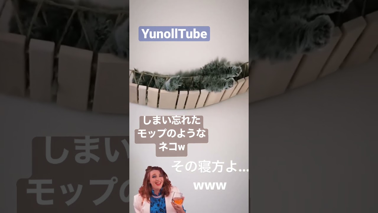 しまい忘れたモップのようなネコ♡寝方が面白すぎるw #shorts #猫おもしろ #猫のいる暮らし #猫動画 #selkirkrex #セルカークレックス#猫好きさんと繋がりたい  #猫人気動画