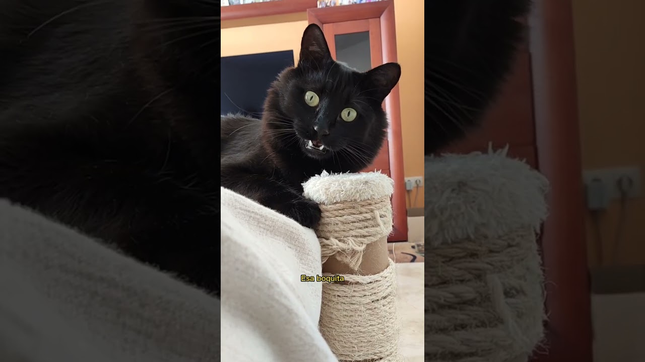 El michi sobrenatural