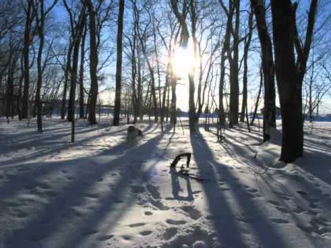 スノーシュートレッキング