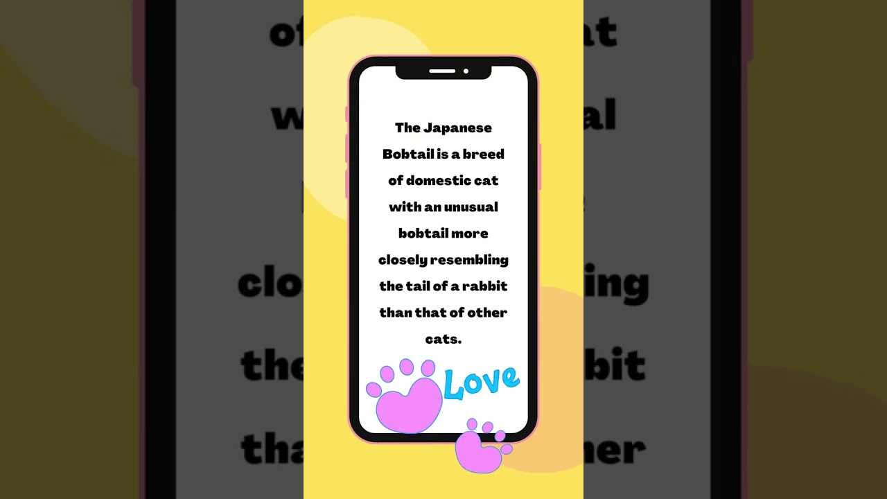Cat Breeds Japanese Bobtail