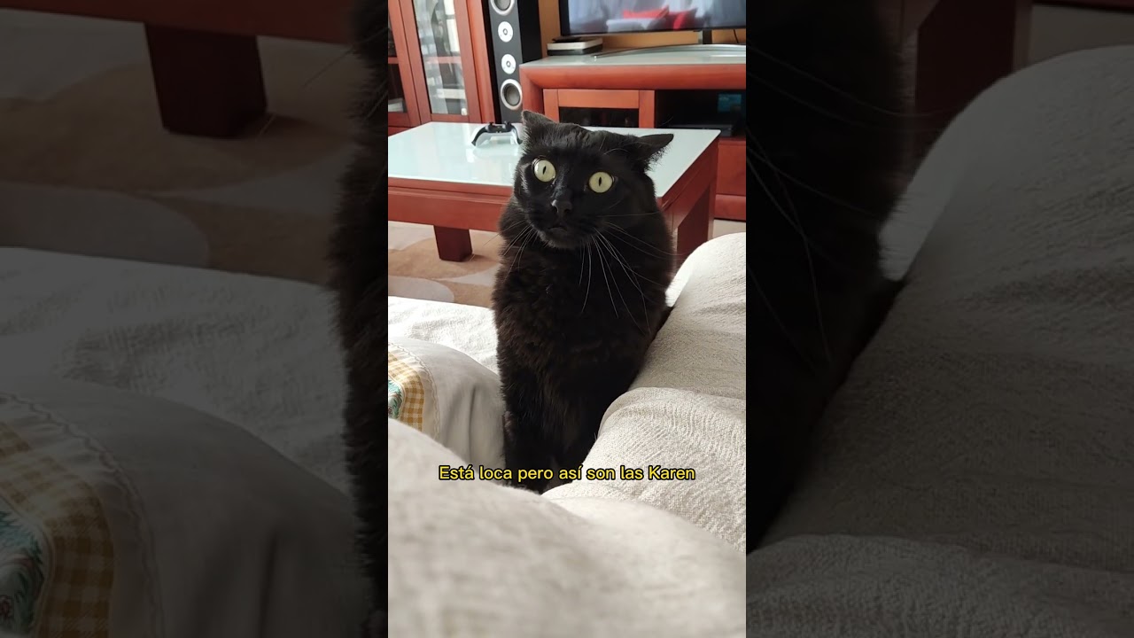 La mejor Karen que se puede tener