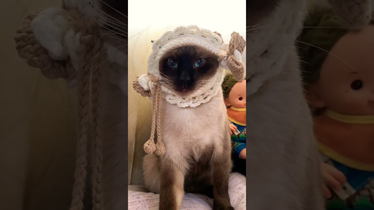 Hey I woke up like this!😂 #shorts