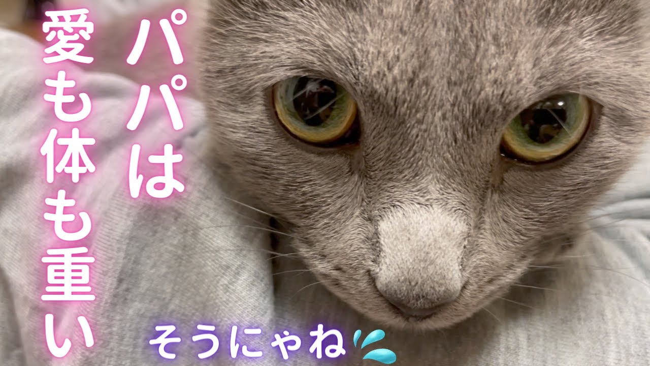 パパがにゃんガルーパーカ着てみた（ロシアンブルー）