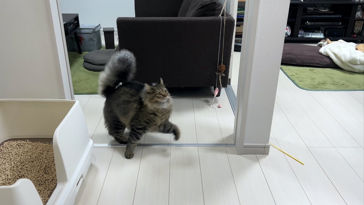 ラガマフィン激突してからのテンション↑【#106】