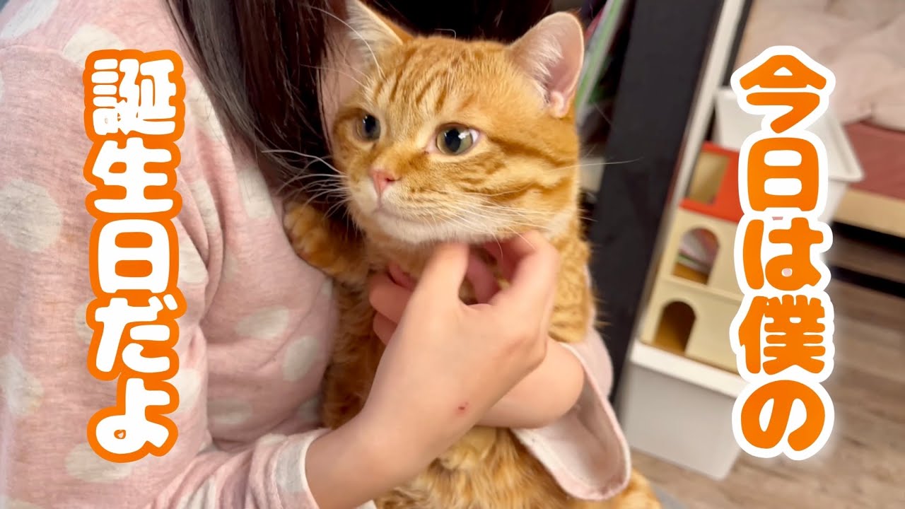 ぽちゃくん、はじめての誕生日に◯◯◯◯解禁！！