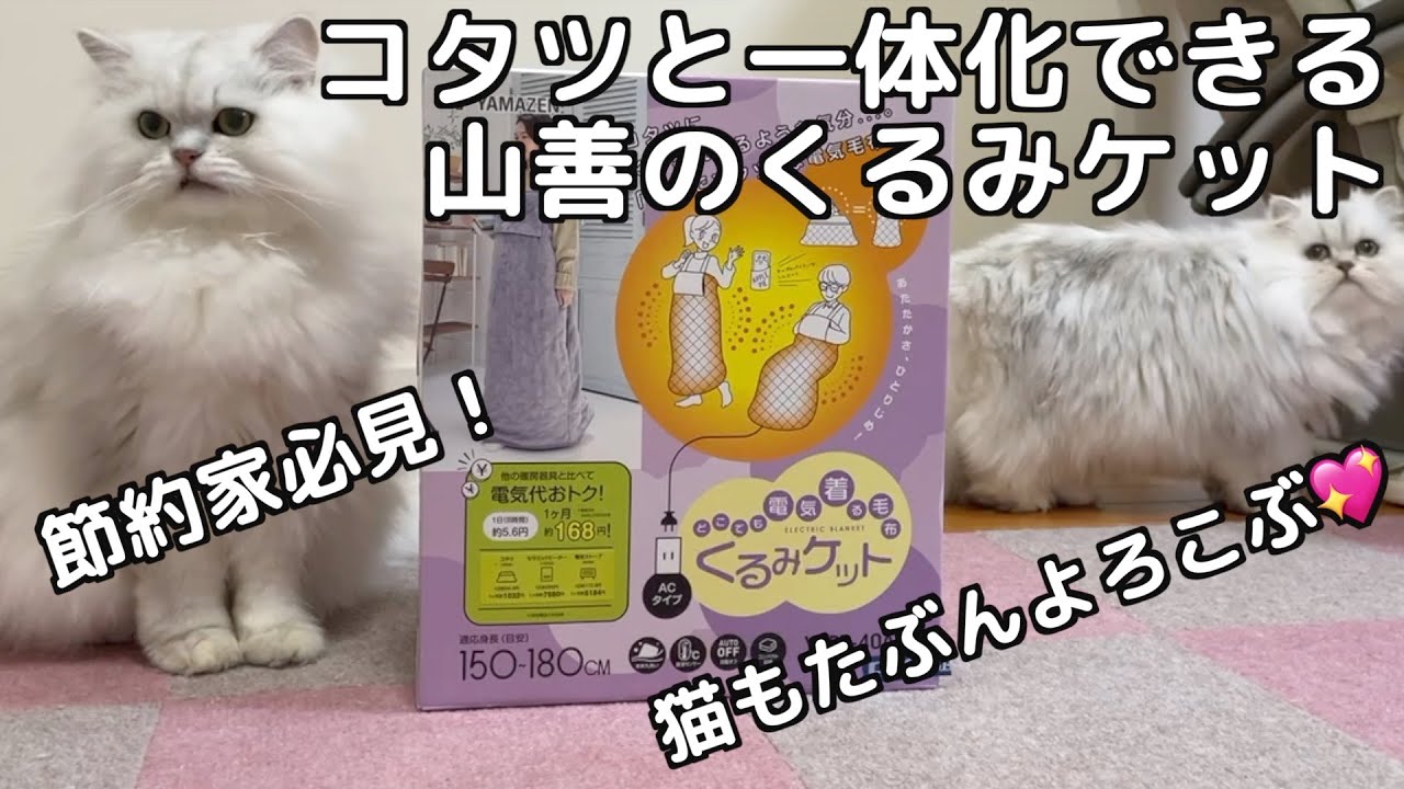 【山善】くるみケット寒がりさんに超オススメ！ペルシャ猫3ニャンズが優しく見守り！ぽっかぽか