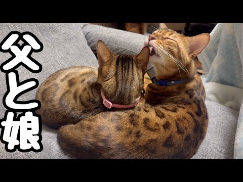 実家でもファザコン爆発させてるお嬢リン