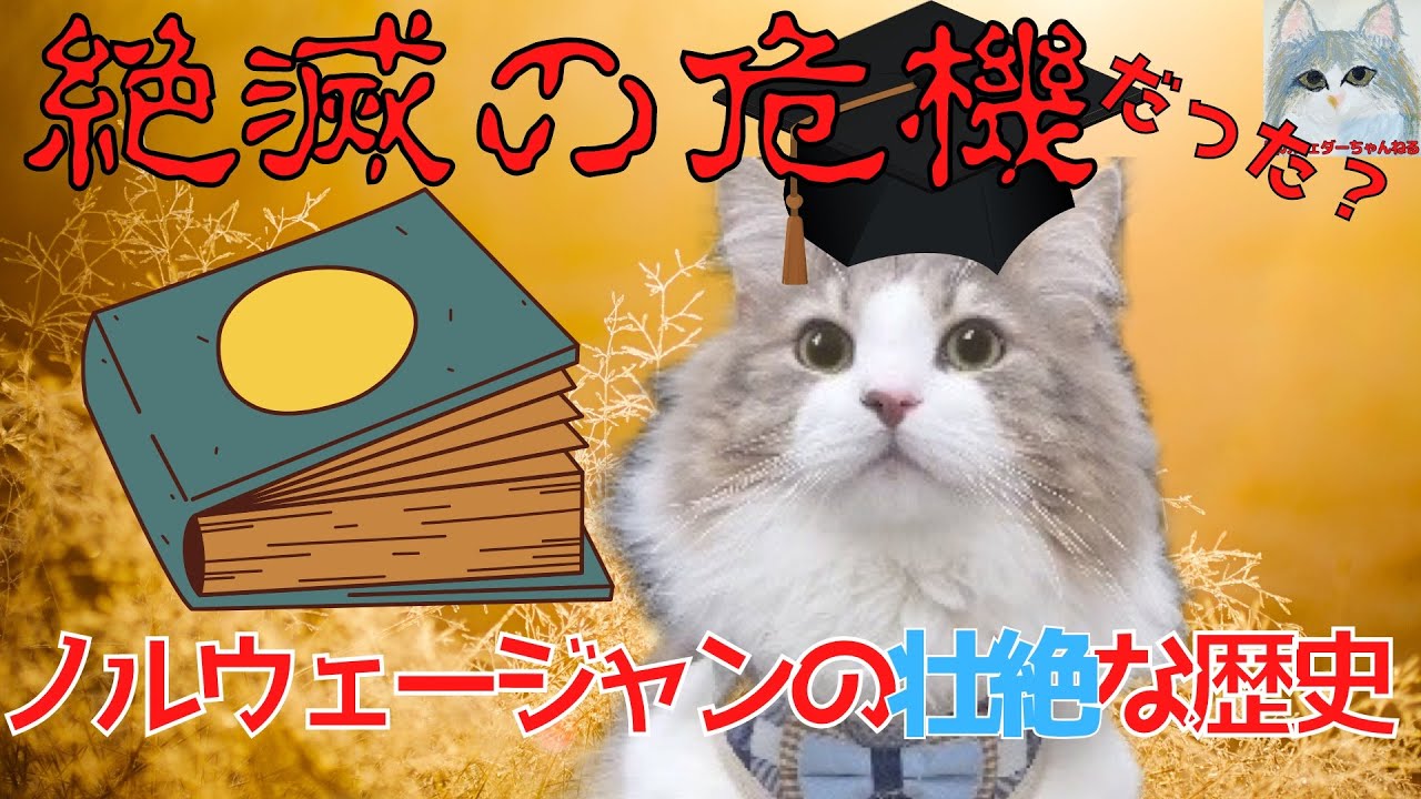 ノルウェージャンフォレストキャットの歴史ご紹介