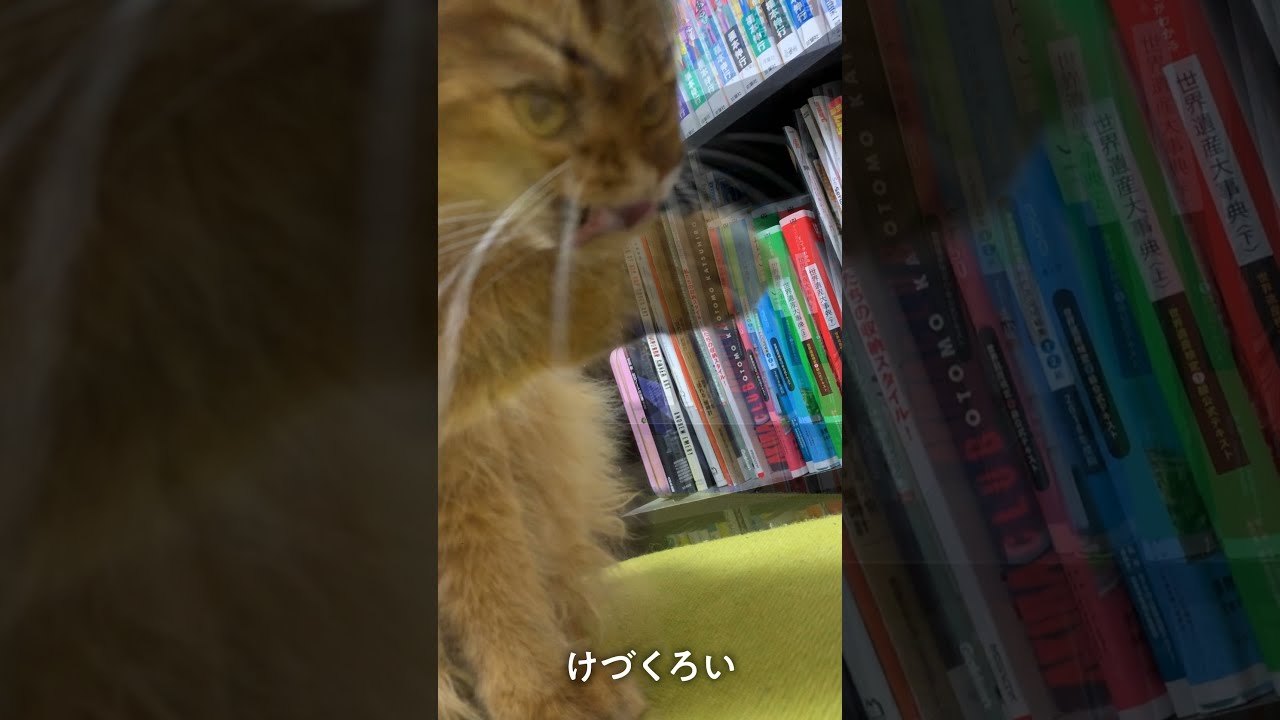 #103　ムナゲどーーーんなソマリ