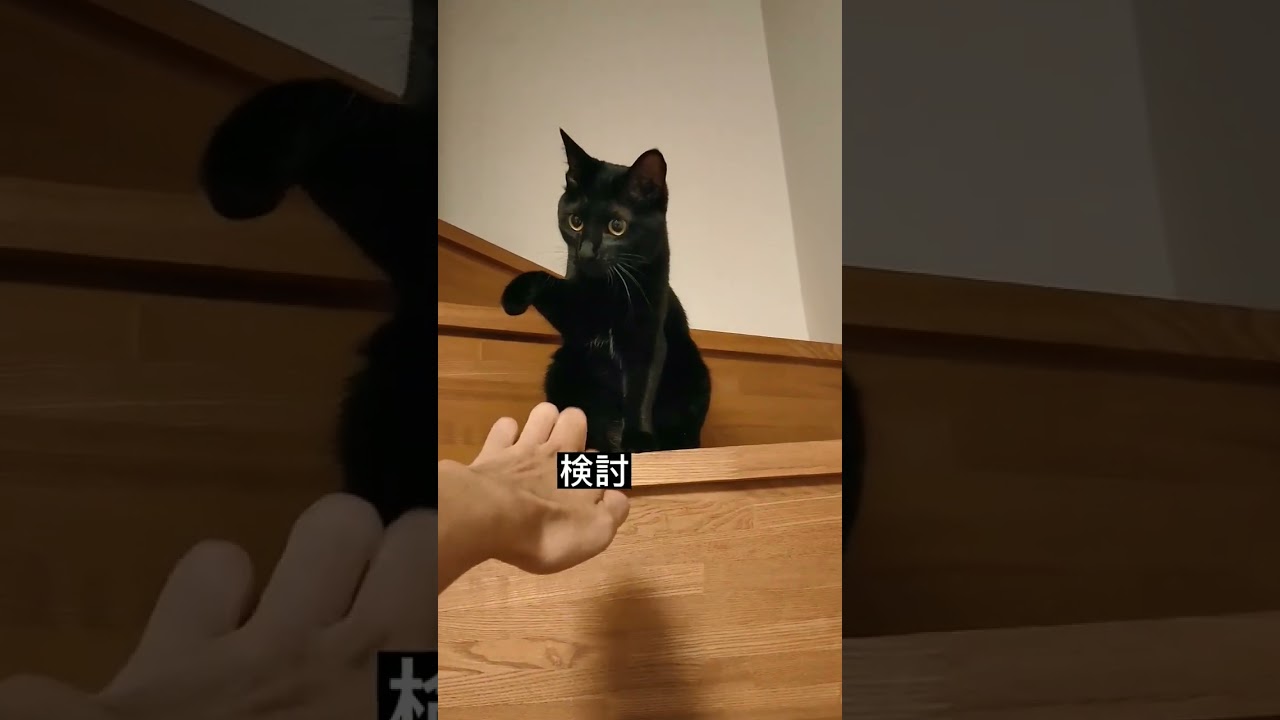 検討使バスター#shorts