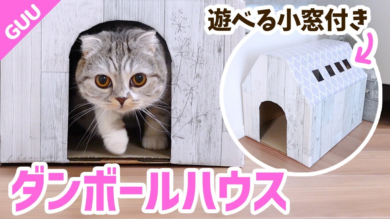 簡単！ダンボール猫ハウスの作り方とプチトラブル［スコティッシュフォールド］