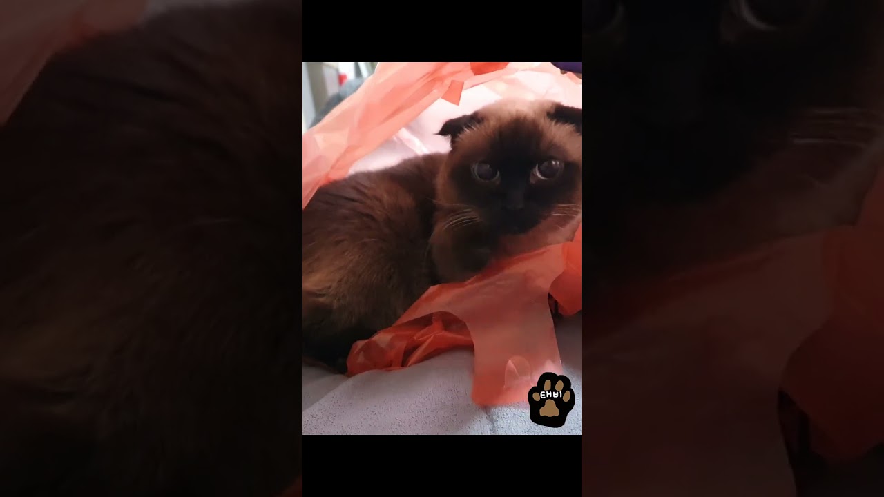 조용해서 뭐하나 봤더니ㅋㅋ