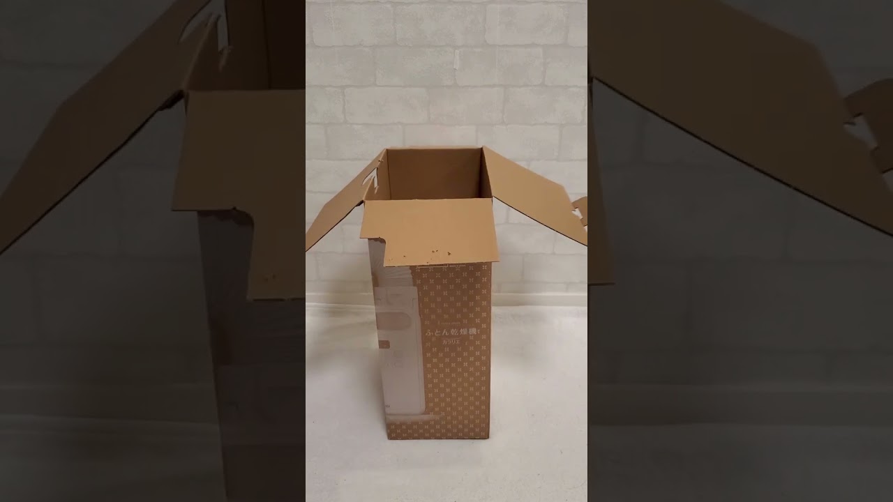段ボールに入っているのは… #shorts #アメリカンカール #猫動画