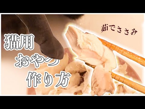 猫のおやつを作ってみた! -  Let's cooking a cat's snack. シャルトリュー キジシロ猫