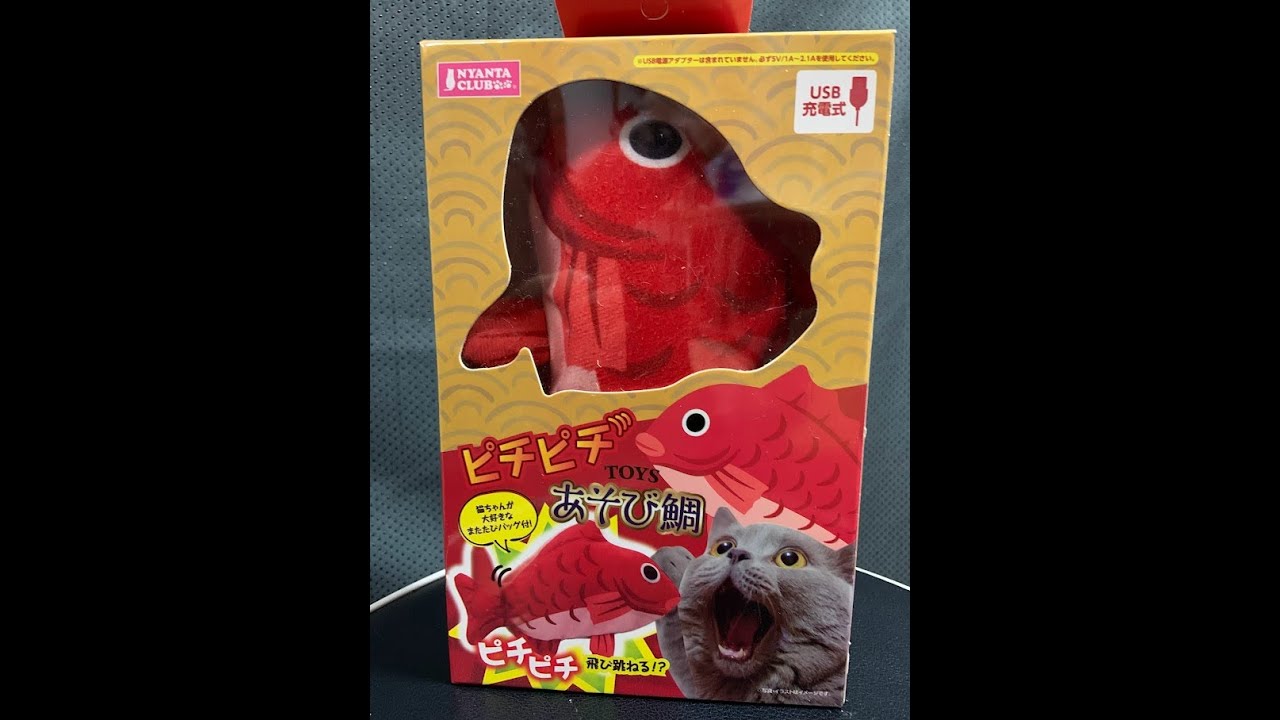 メインクーン　猫　ピチピチ遊び鯛　使ってみた