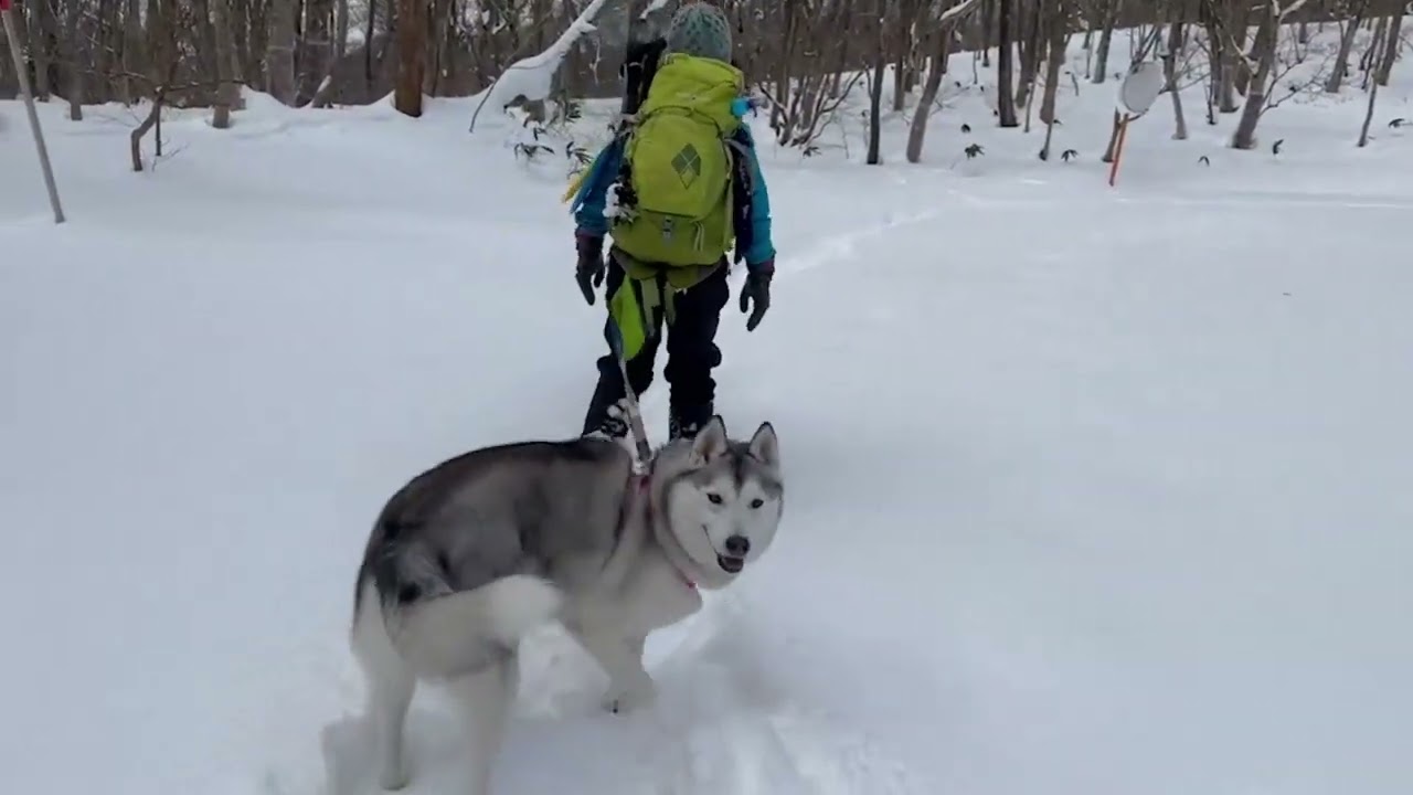230105スノーシュー