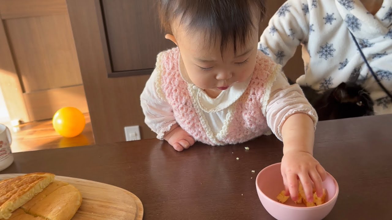 口一杯にパンケーキを頬張る赤ちゃんの後ろで甘える猫　ラガマフィン　A cat spoiled behind a baby who stuffs his mouth full of pancakes