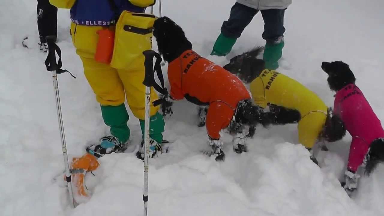 爆裂家族と裏磐梯スノーシュー