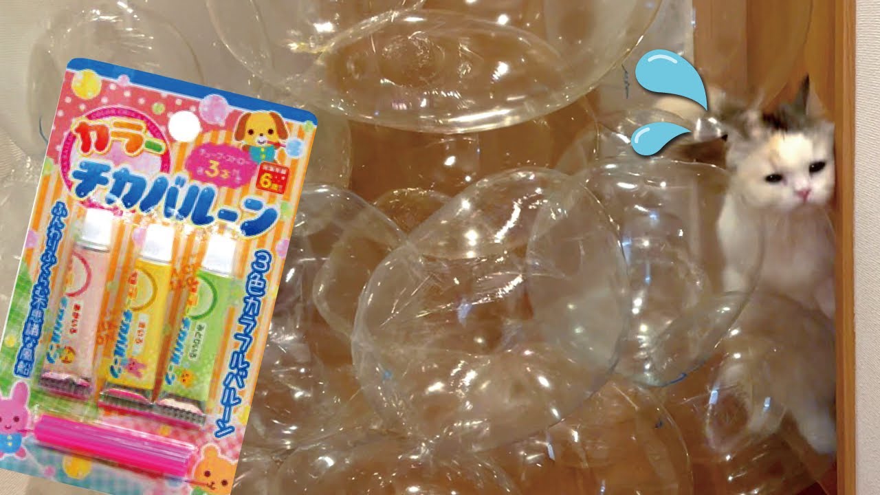 子どもの頃よく遊んだ「アレ」を大量に作りすぎたら猫がこうなりました【関西弁でしゃべる猫】