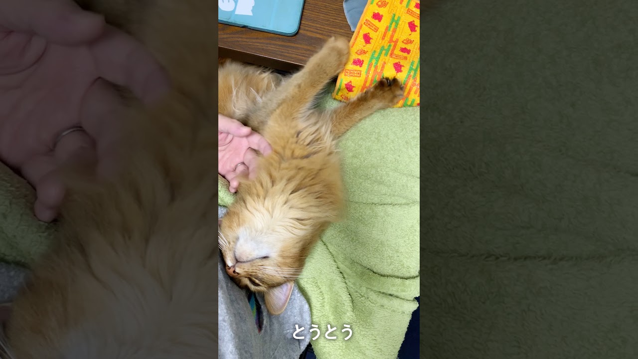 #127　ついに空気まで揉みだしたソマリ