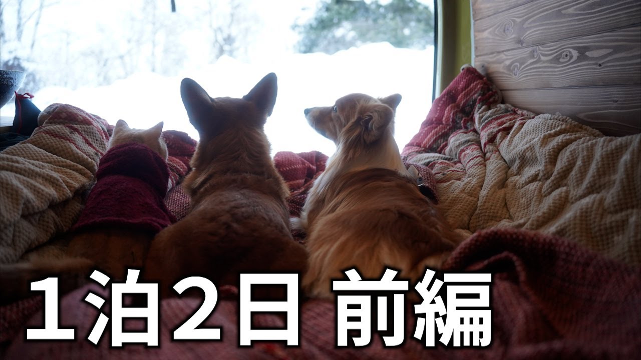 【旅行】北海道の都会に、のそのそ出かける短足集団【コーギー】【マンチカン】