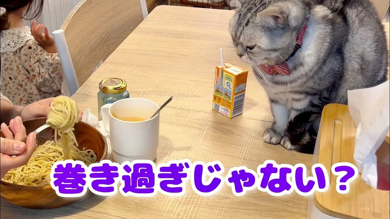 ママがパスタを食べてるところをずっと見ているあいちゃん