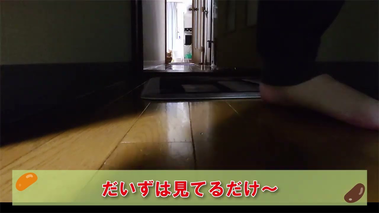 ついてくる猫 #cat #猫 #アメリカンカール